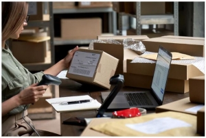 Pressclipping: Prodaju robe putem interneta u FBiH će moći obavljati samo registrovani trgovci