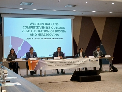 Ministar Hasičević panelista na konferenciji OECD-a