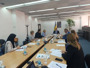 Jačanje lokalnih potencijala za privlačenje stranih investicija